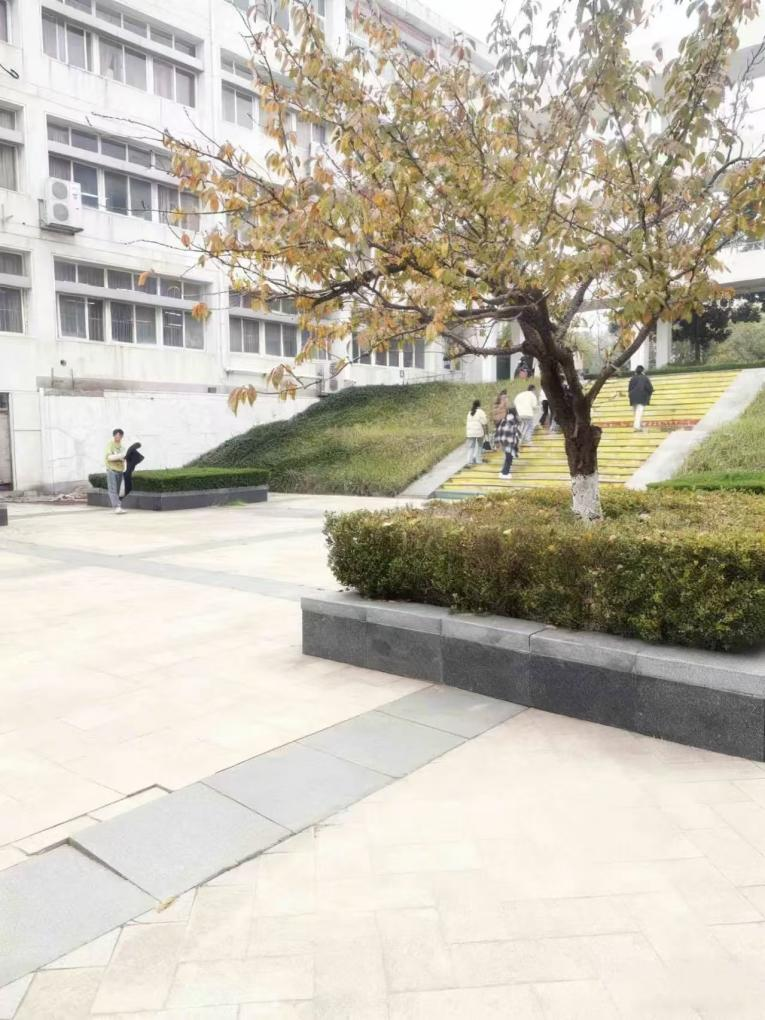 文明环境随手拍｜咔嚓！定格校园...